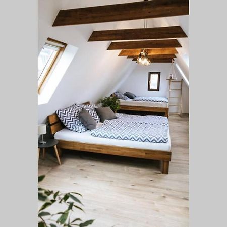The Cozy Studio Apartment Lauf Lauf an der Pegnitz Exterior photo